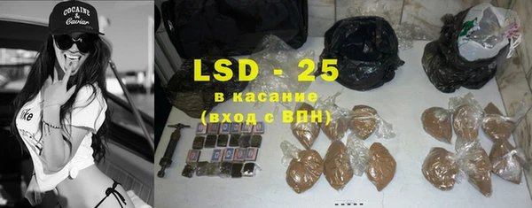 a pvp Новозыбков