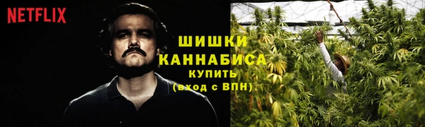 MESCALINE Новодвинск