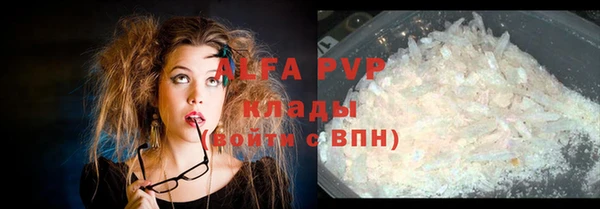 a pvp Новозыбков
