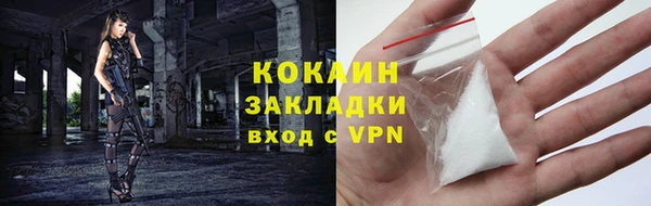 a pvp Новозыбков