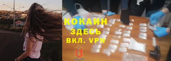a pvp Новозыбков