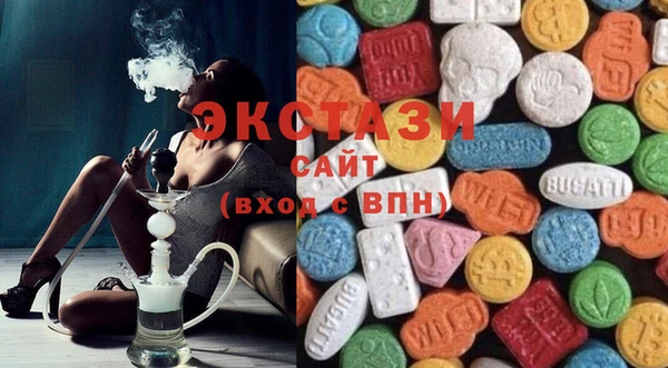a pvp Новозыбков