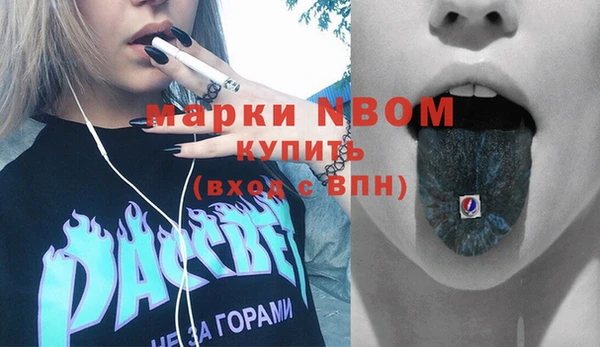 a pvp Новозыбков