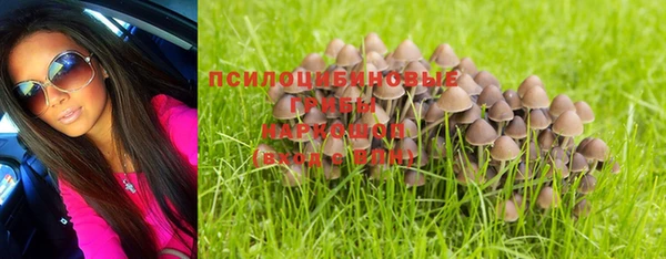 a pvp Новозыбков