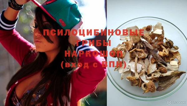 a pvp Новозыбков