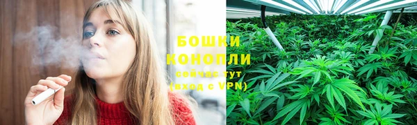PSILOCYBIN Елабуга