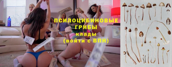 MESCALINE Новодвинск